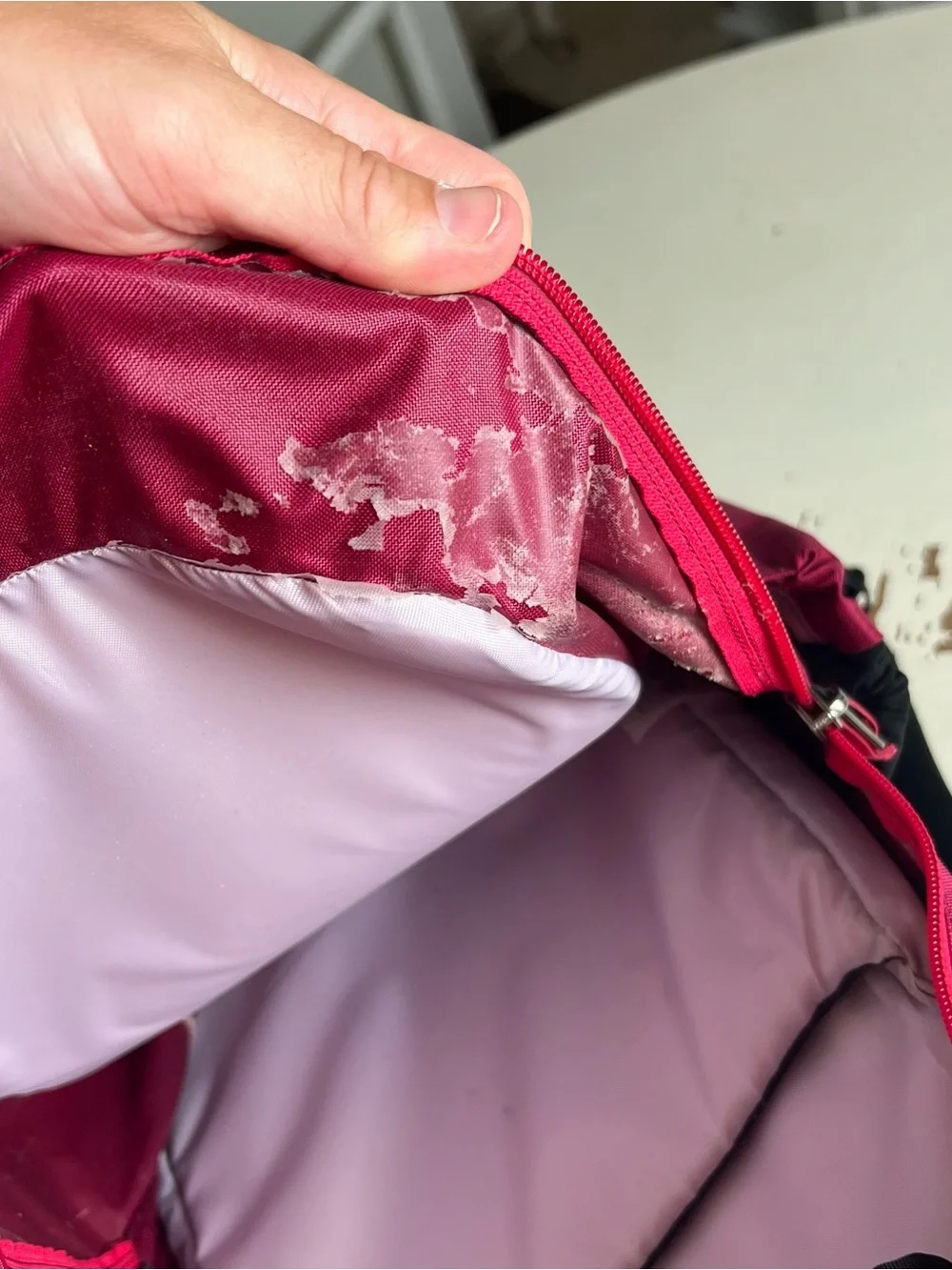 ARC’TERYX- Pender Backpack Roseberry